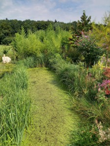 2025-09-09 032 (600x800)